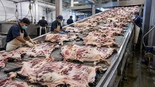 Amazing Process of Turning Thousands of Cow Hides Into Sleeping Blankets