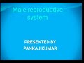 Part 1, chapter 3 , human reproduction