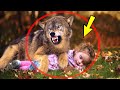 Волк мстил за свою волчицу на глазах у рыдающей матери, но внезапно крик одного парня остановил его.