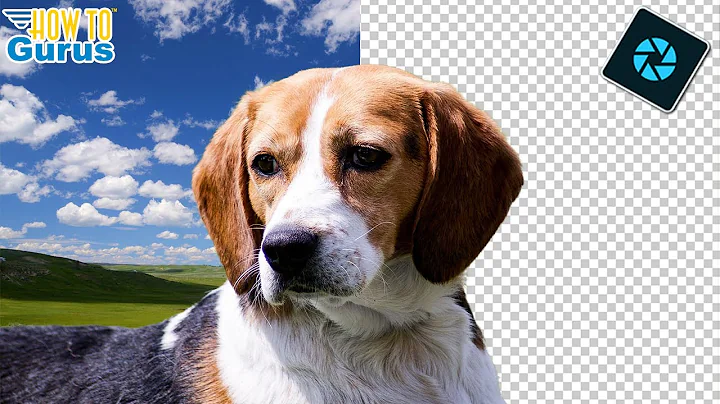 Easily Remove Backgrounds and Make them Transparent with Photoshop Elements