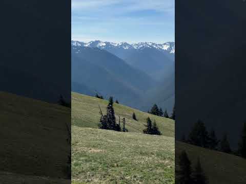 beautiful place#youtubeshorts #washington