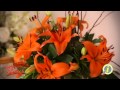 Floristeria Riverside Floral Studio (787) 780-6216