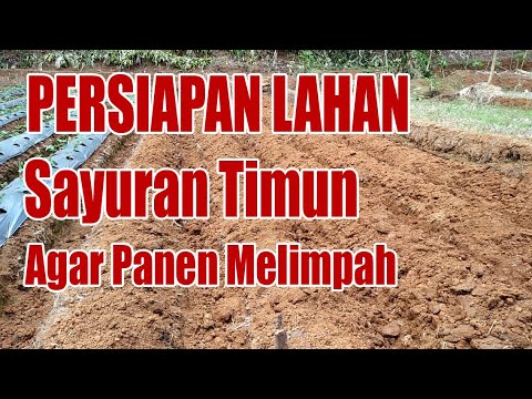 Video: Kawalan lalu lintas - keperluan untuk bekerja dengan internet terhad