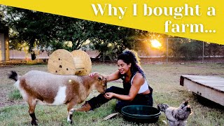 Starting a Homestead Farm in Arizona