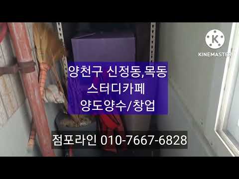 양천구 신정동, 목동 스터디카페 양도양수/창업