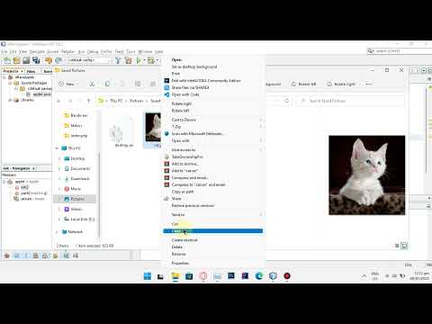 Java Applet - Images (No Commentary)