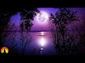 🔴 Relaxing Sleep Music 24/7, Meditation Music, Spa Music, Calming Music, Zen, Study, Sleeping Music