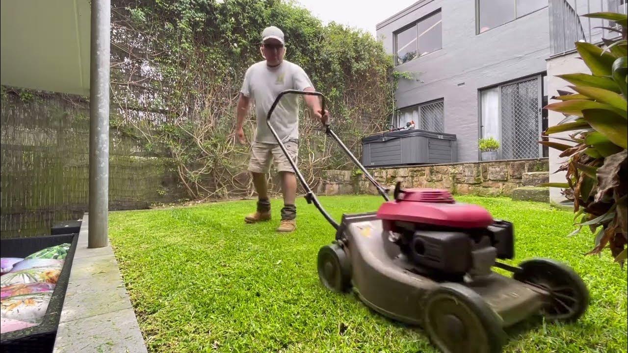 Honda Lawn Mower Mulching Grass YouTube