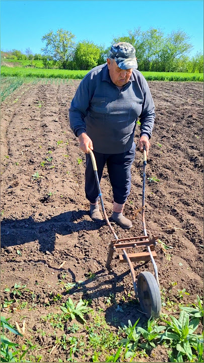 Wheel Hoes — an efficient wheel hoe for fast soil cultivation
