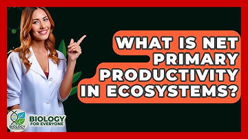 What Is Net Primary Productivity In Ecosystems? - Biology For Everyone