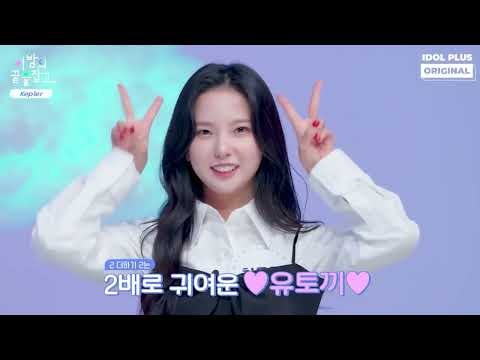 귀요미송 원작자 케플러 최유진 CUT 이밤끝 케플러편