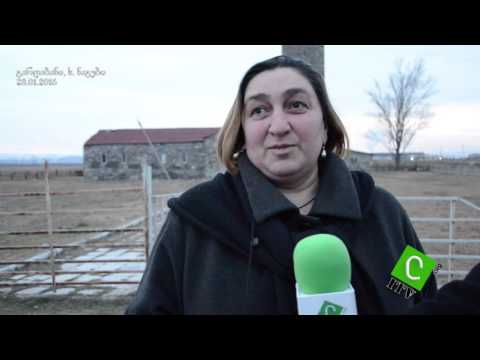 არჩევნები გარდაბანში