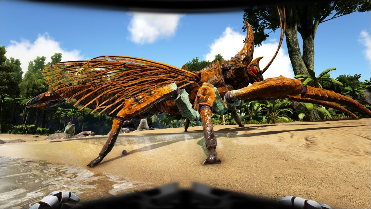 RHYNIOGNATHA GUIDE HOW TO TAME EASY AND ABILITIES AND GET A SUPER 1 ON ...