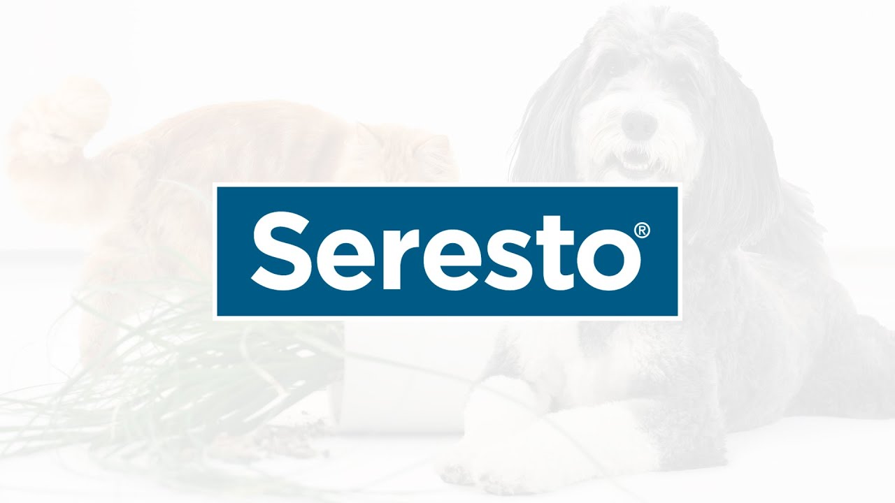 Fleas & Ticks Don't Have to Suck with Seresto® :15s - YouTube