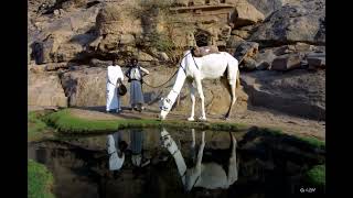 Download Lagu The Water Temple at Bir Abu Safa     معبد المياه  في بئر أبو سعفا MP3 Download Lagu The Water Temple at Bir Abu Safa     معبد المياه  في بئر أبو سعفا MP3