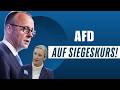 Weidel Im Höhenflug AfD Holt Die Mehrheit Nun Kann Sie Niemand Mehr Bremsen