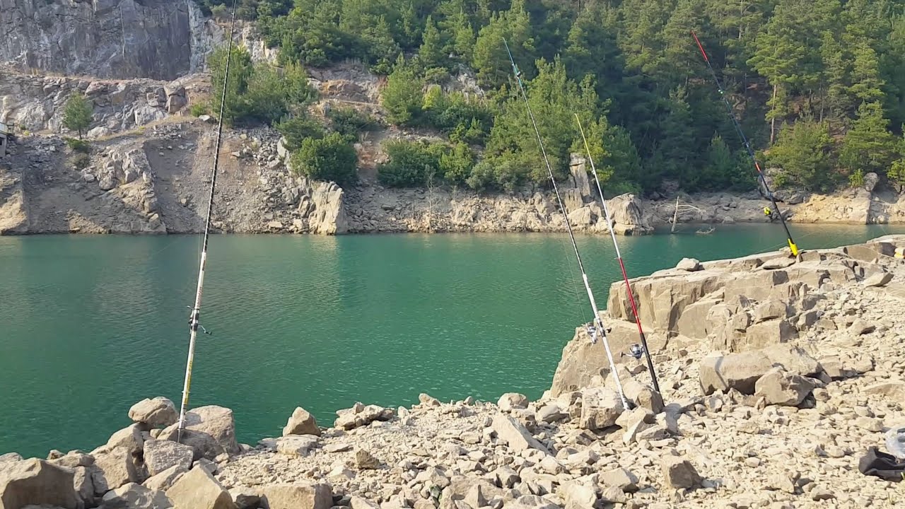 КАРПОВАЯ РЫБА И КЕМПИНГ МЕНГЕ С НАШИМИ ПОСЛЕДОВАТЕЛЯМИ