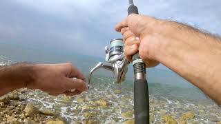 Fishing for Leerfish in South Lebanon