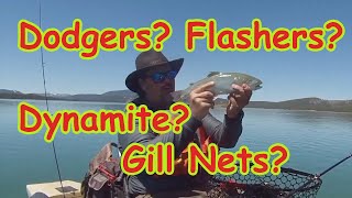 Flashers Or Dodgers: Which Are Best For Trout & Salmon?