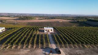 Escape to the Vineyard - a stay among the vines in McLaren Vale.