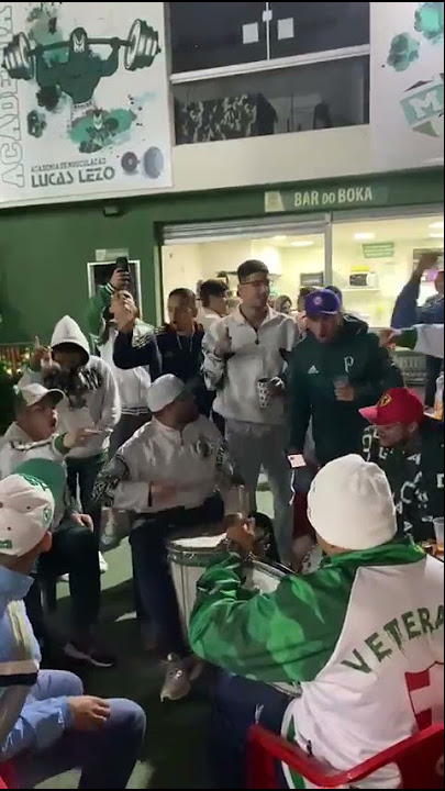 Mancha Verde Botucatu - Somos a Mancha Verde, a mais temida Sigo o meu  Palmeiras por toda a vida Vamos jogar com raça os Jogadores Para ganhar a  taça Libertadorees, Libertadoreeeees ! #