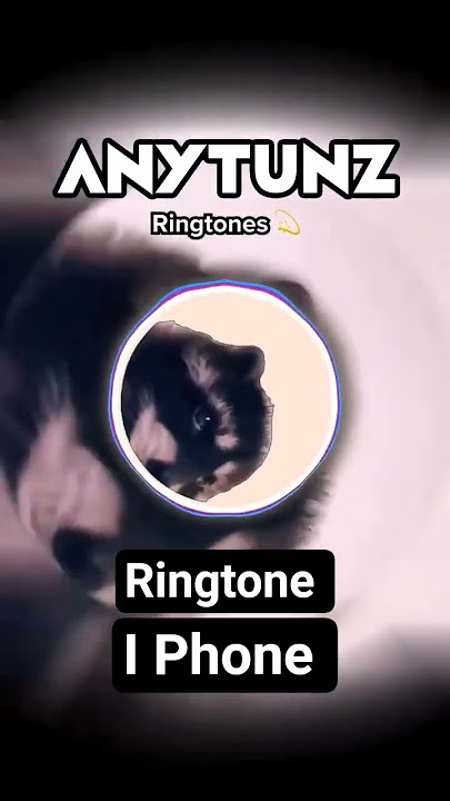 anytunz_ringtones PEDRO RINGTONE search 