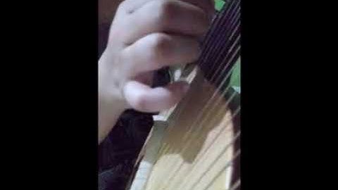 My Heart Will Go On | Harp Lyre Cover | Beginner