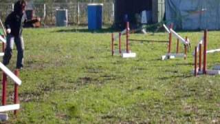 20091206-1.avi