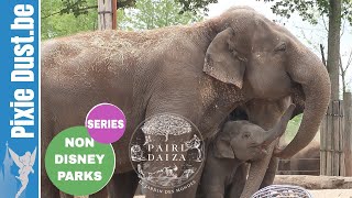 Pairi Daiza Belgium May 2020 - Non-Disney Parks Series