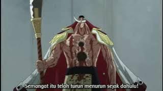 Storywa|Shirohige/Edward Newgate yakin kalau One piece benar adanya | kata kata terakhir jedag Jedug