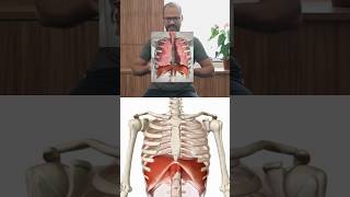Liberação do diafragma| solte os músculos da parede abdominal para melhorar a expansão diafragmática