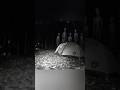 disturbing images with creepy Doom music #creepy