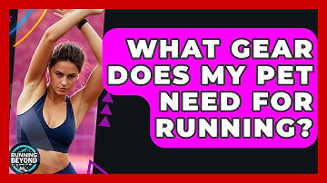 What Gear Does My Pet Need For Running? - Running Beyond Limits