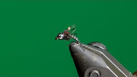 Tying Higa