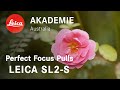 Perfect Focus Pulls on the Leica SL2-S