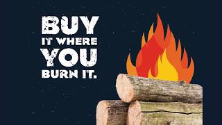 Keep Forests Healthy - Don't Move Firewood