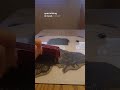 Just a cozy afternoon of printing 🍂
