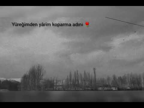 Azat taş-yar Bana dargın 🌹