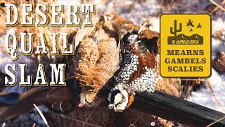 Desert QUAIL SLAM! Hunting Mearns, Gambels and Scaled Quail by Uplander 8,435 views 3 months ago 32 minutes