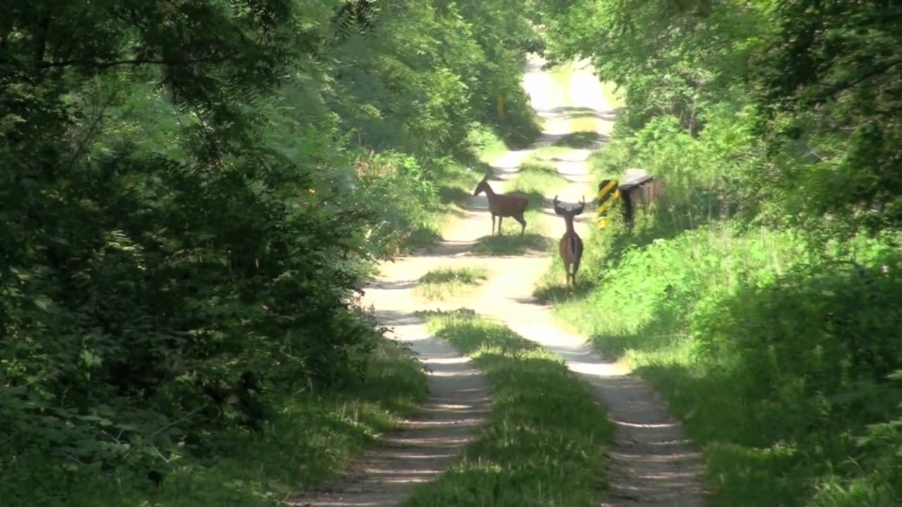 Midewin National Tallgrass Prairie Entrance Fee