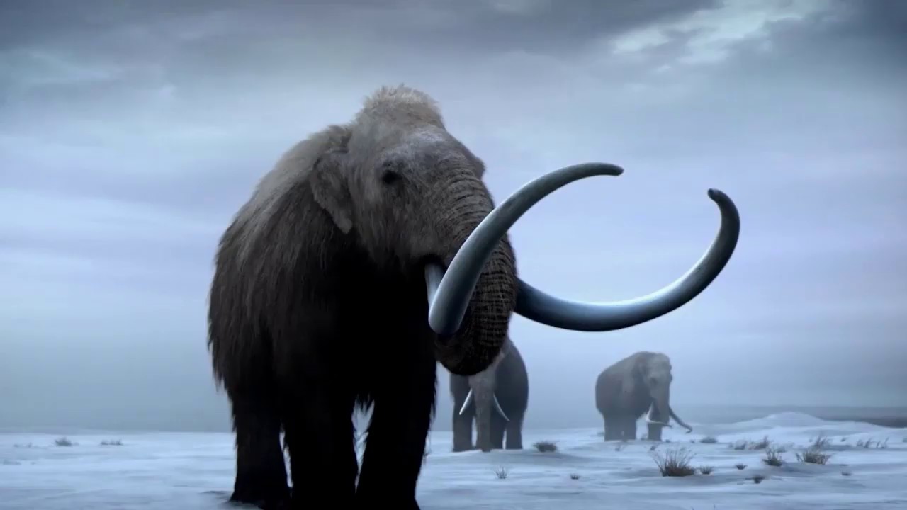 March of the Mammoths 2020! YouTube