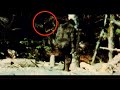 BIGFOOT - The Other Creature  - Mysterious Face in the Patterson Footage - MBM 136