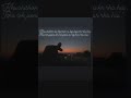 #youtubeshorts #love #lifeisbutadream #trendingshorts #motivation #viralshorts #viralvideo #video