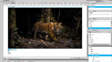 Dreamweaver - adding the banner