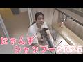 【にゃんずシャンプー2026】お兄ちゃんになるにゃんず達をお風呂にいれました🐱