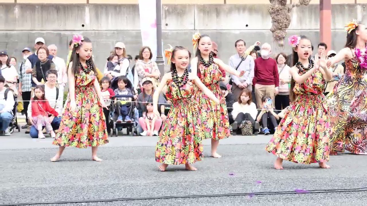 モアナラニフラ＆オリタヒチ（ポリネシアンダンス）日立さくらまつり