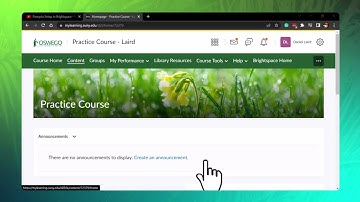 Embed YouTube Videos in Brightspace