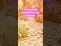 9 במאי 2026Sunny Day Waltz - Original Relaxing Piano Music , Composer Laura Hazanova