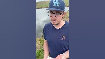 A Record Breaking Turtle Lives in This Pond! #turtle #snappingturtle #pond #farmlife #trapping