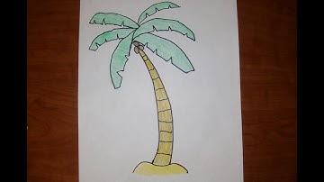 How to draw a Palm Tree